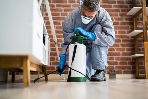 Top 5 Advantages of Hiring Pest Control Services